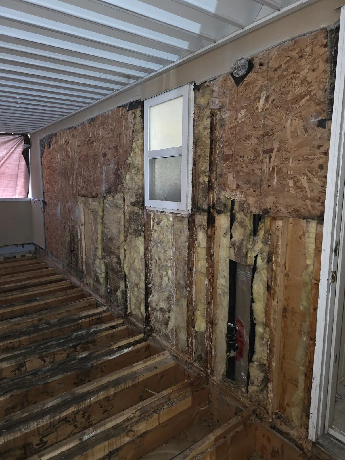 Demo: vinyl, plywood and insulation off — finding the damage
